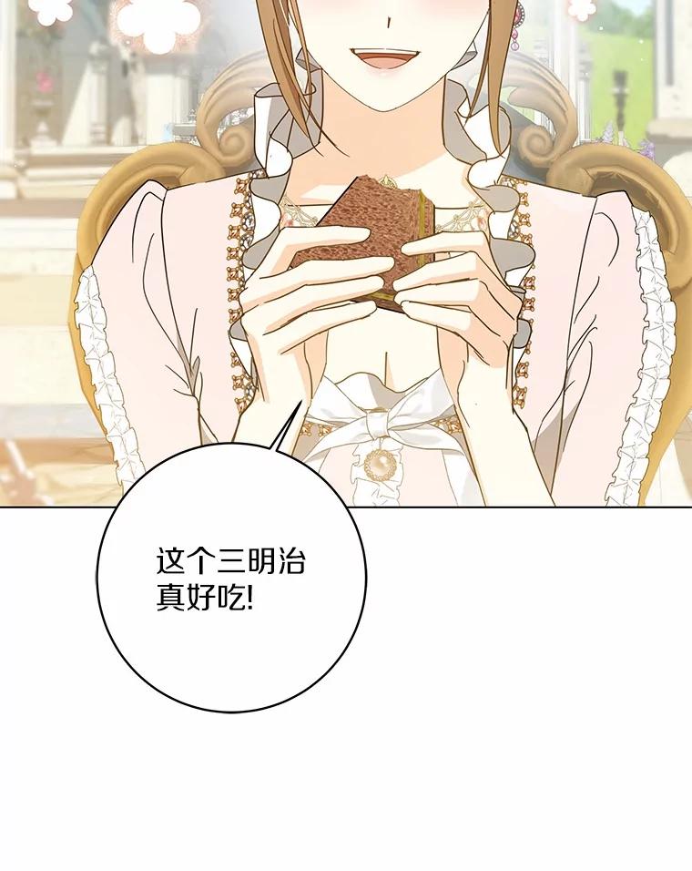 《我从没抛弃过陛下》46.试探 第41页