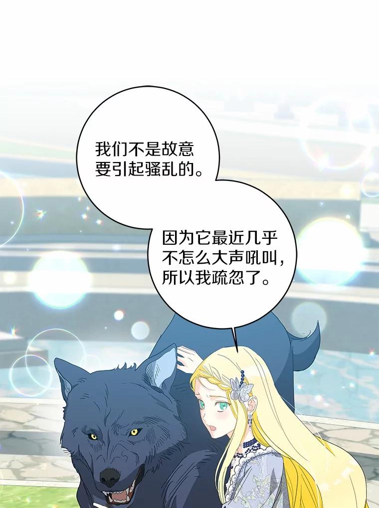 《我从没抛弃过陛下》46.试探 第66页