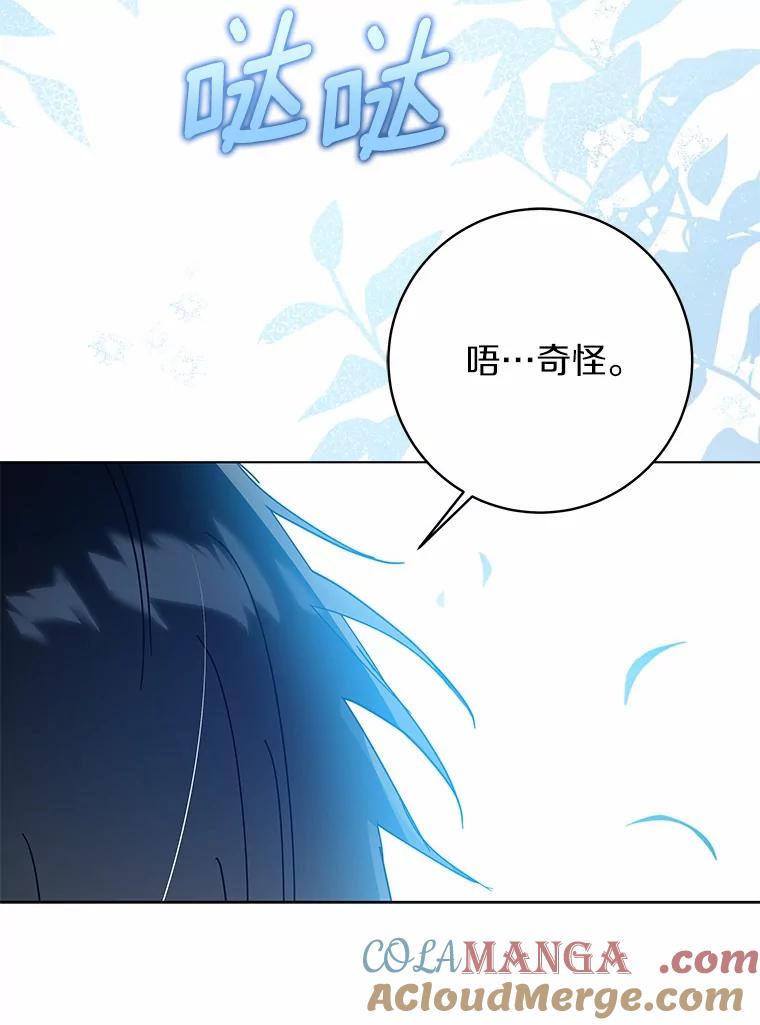 《我从没抛弃过陛下》46.试探 第73页