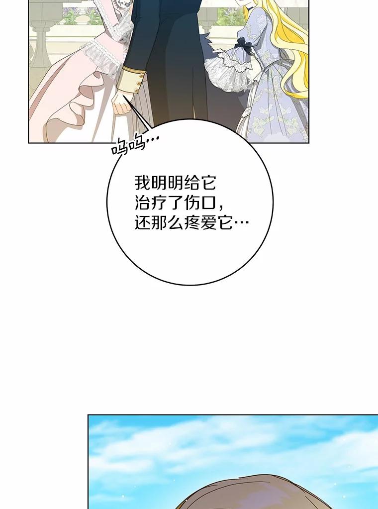 《我从没抛弃过陛下》46.试探 第80页