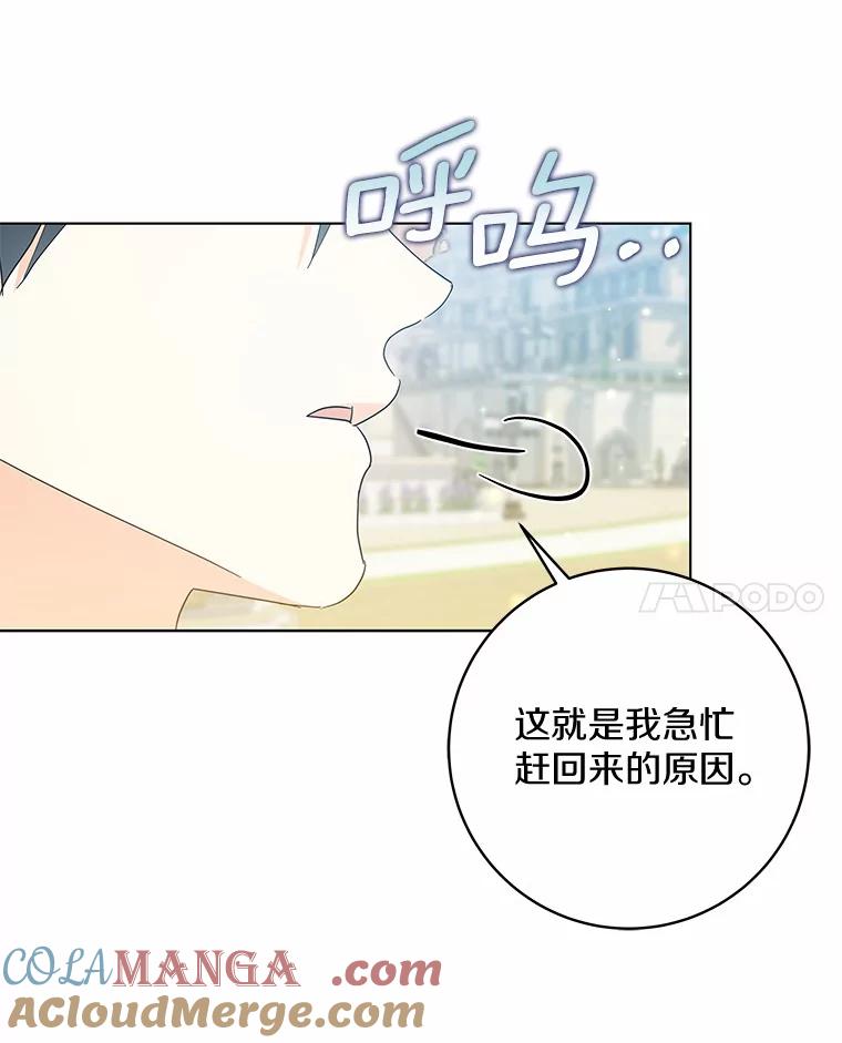《我从没抛弃过陛下》47.他心中的拉莉 第31页