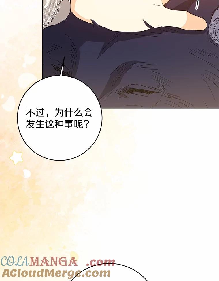 《我从没抛弃过陛下》48.坦白 第64页
