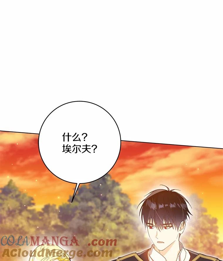 《我从没抛弃过陛下》48.坦白 第67页