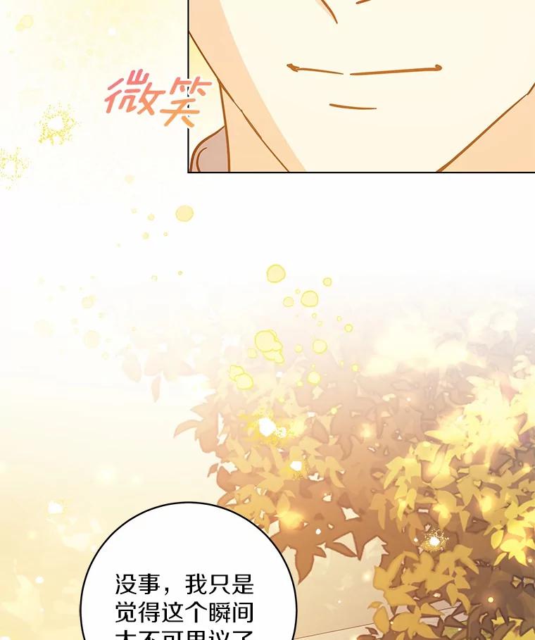 《我从没抛弃过陛下》49.喜欢一个人的心 第19页