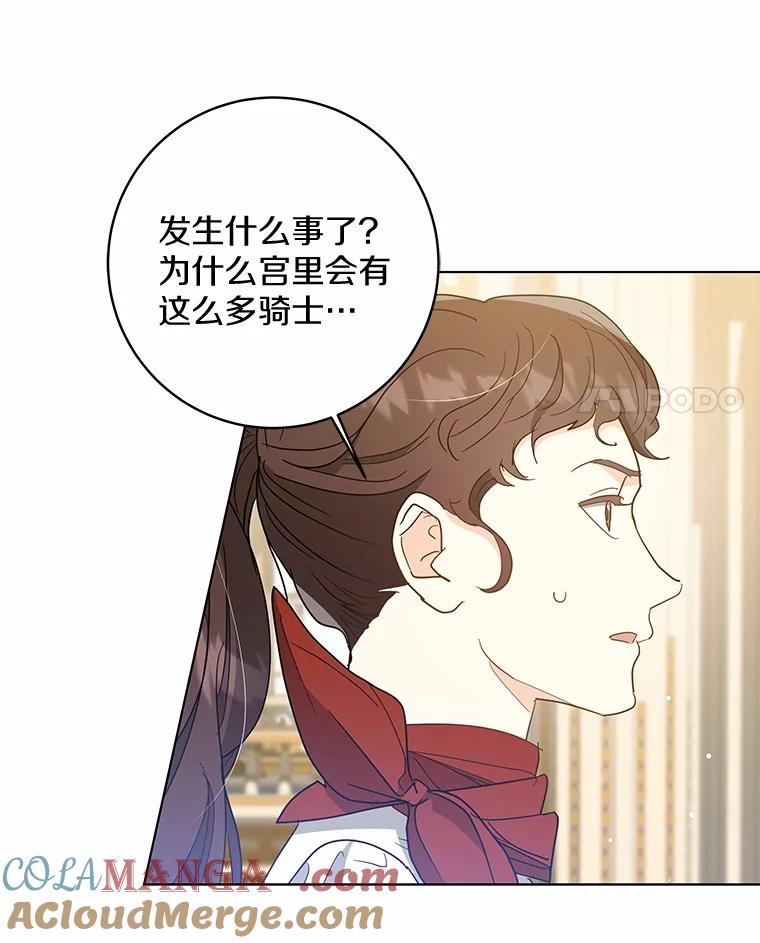 《我从没抛弃过陛下》50.礼物 第77页