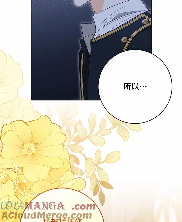 《我从没抛弃过陛下》50.礼物 第41页