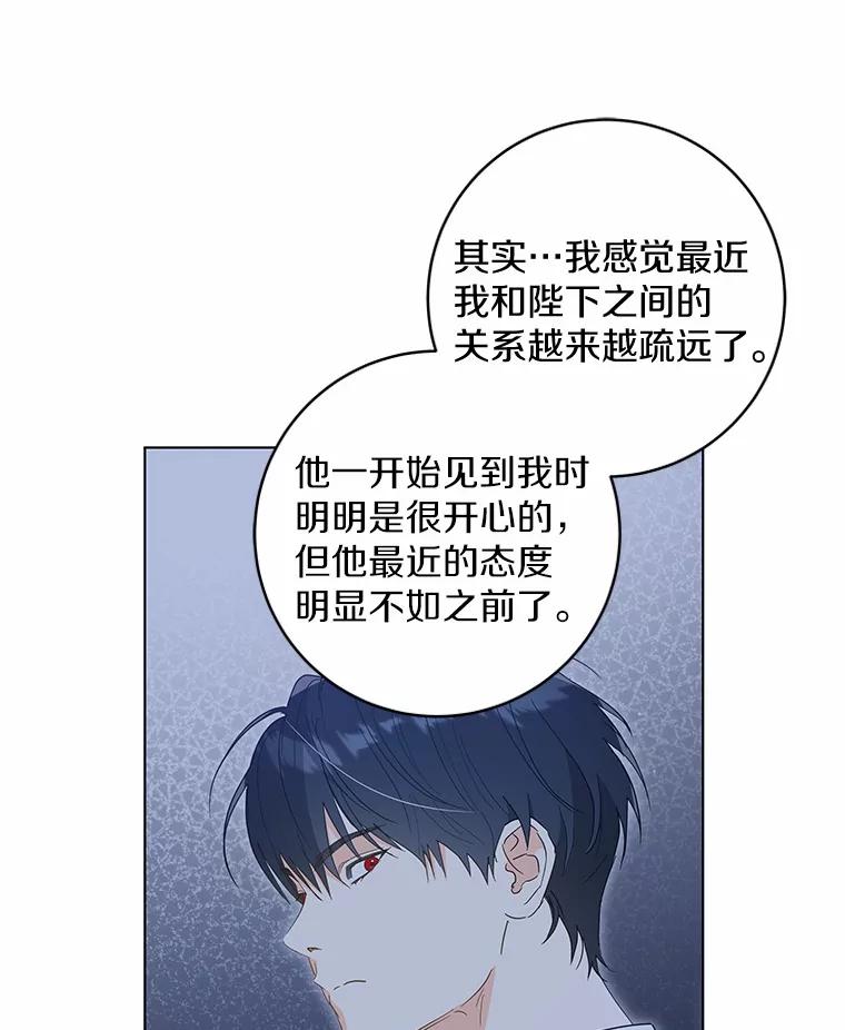 《我从没抛弃过陛下》50.礼物 第40页