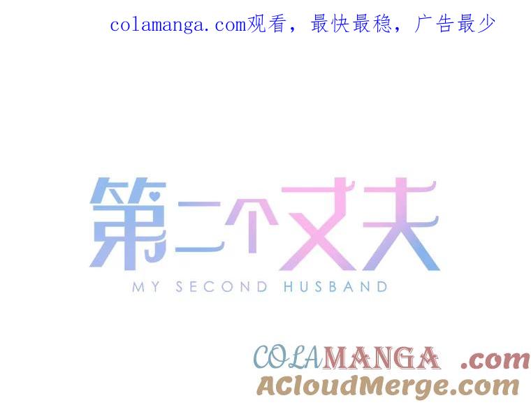 《第二个丈夫》58.替罪羊 第1页