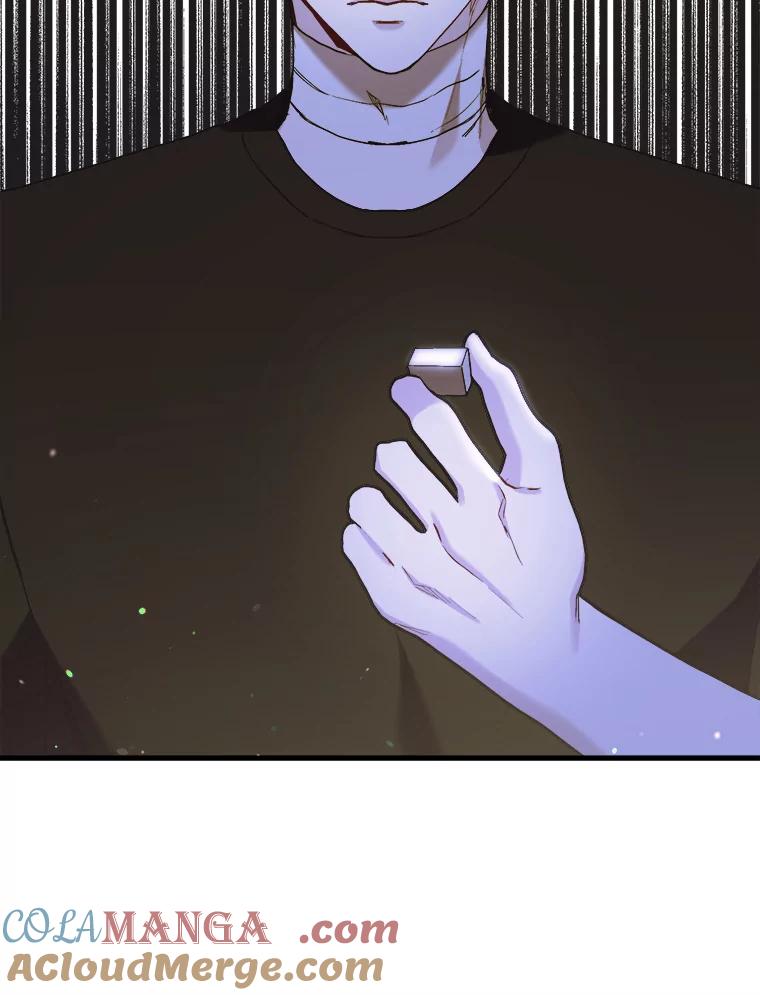 《第二个丈夫》58.替罪羊 第33页