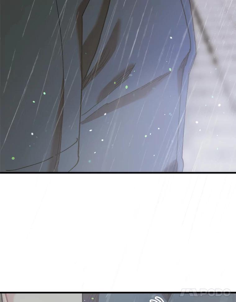 《第二个丈夫》59.日记本 第100页
