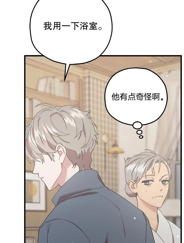 《第二个丈夫》59.日记本 第112页