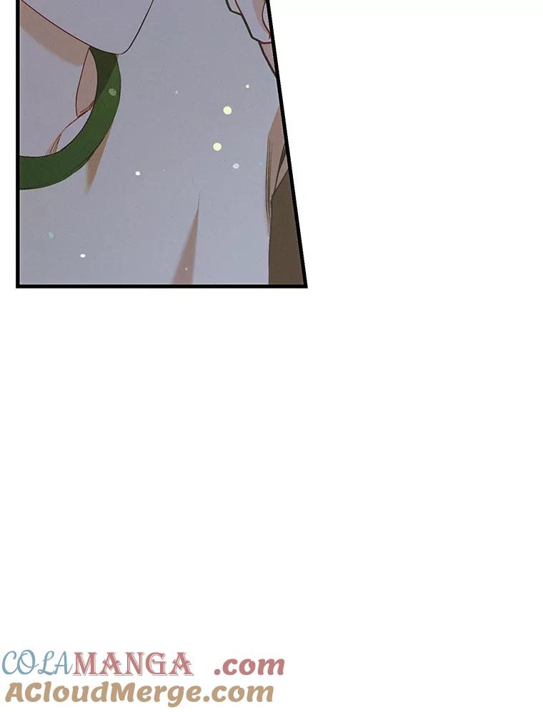 《第二个丈夫》59.日记本 第17页