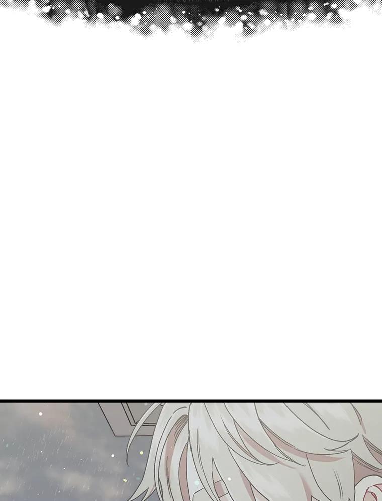 《第二个丈夫》59.日记本 第27页