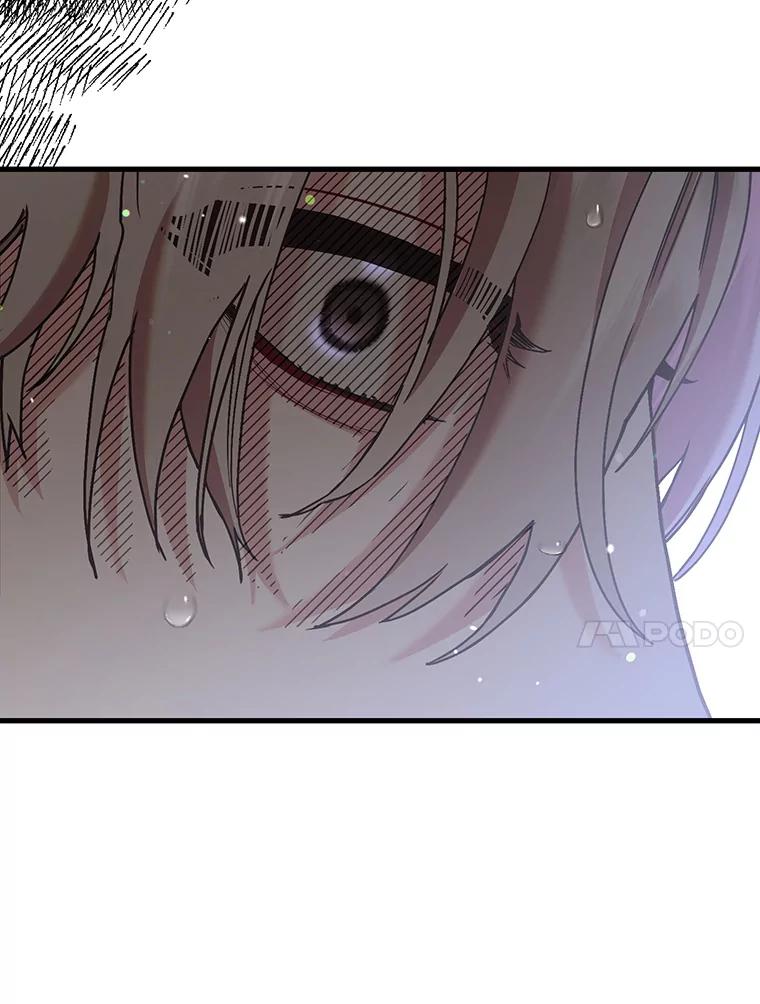 《第二个丈夫》59.日记本 第119页