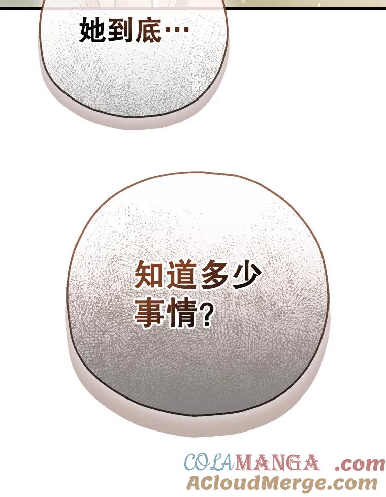 《第二个丈夫》59.日记本 第161页