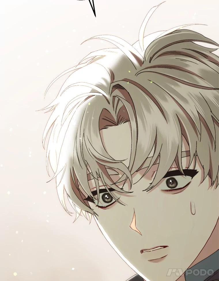 《第二个丈夫》59.日记本 第156页