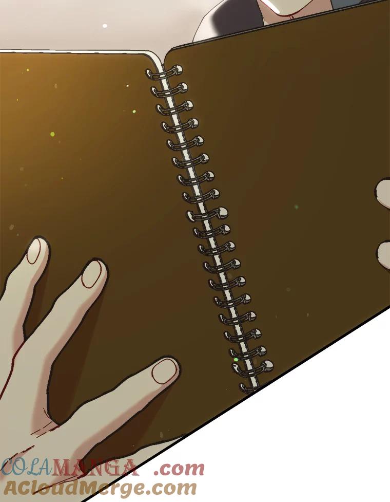 《第二个丈夫》59.日记本 第157页