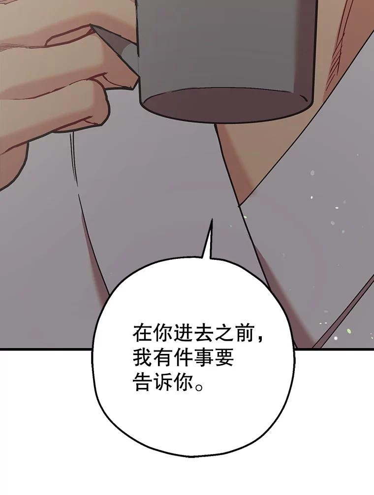 《第二个丈夫》59.日记本 第115页