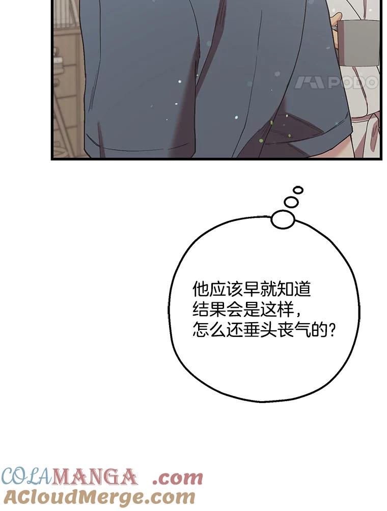 《第二个丈夫》59.日记本 第113页