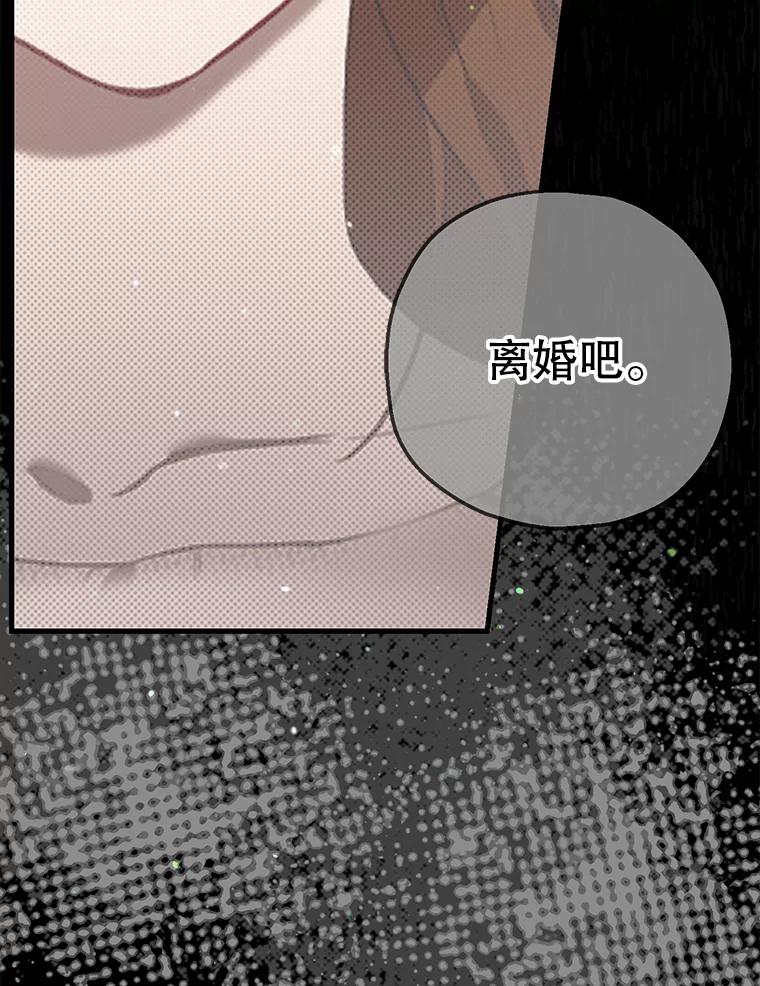 《第二个丈夫》60.不幸的漩涡 第107页