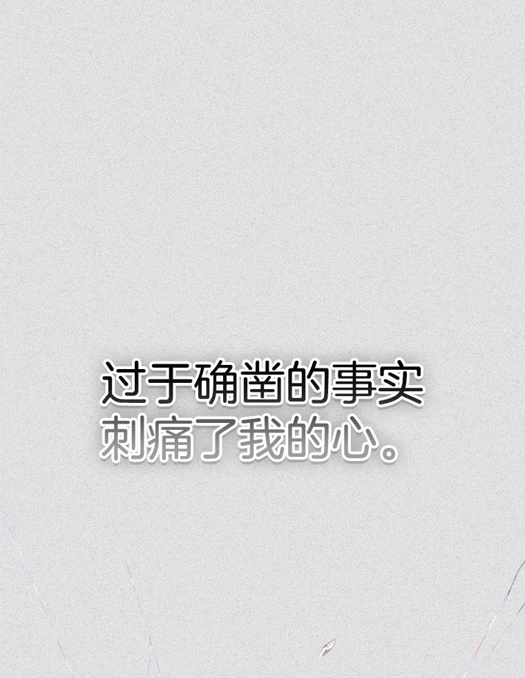 《第二个丈夫》60.不幸的漩涡 第80页