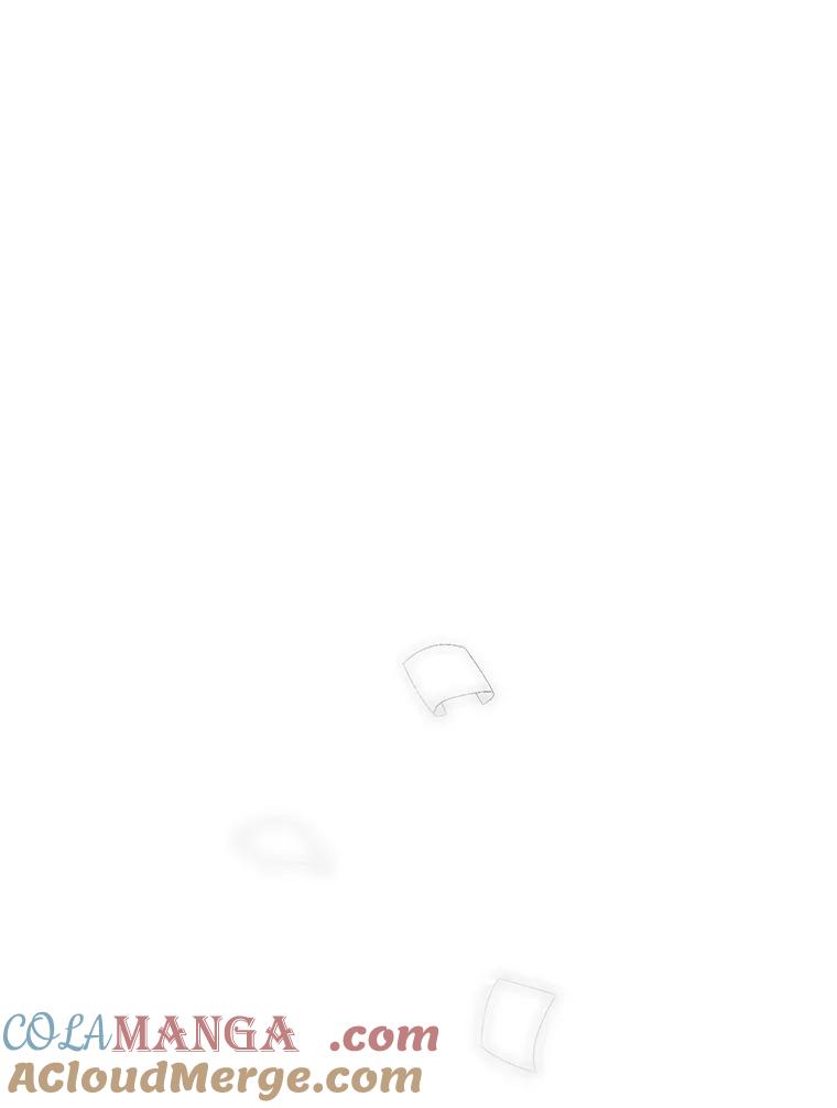 《第二个丈夫》60.不幸的漩涡 第45页