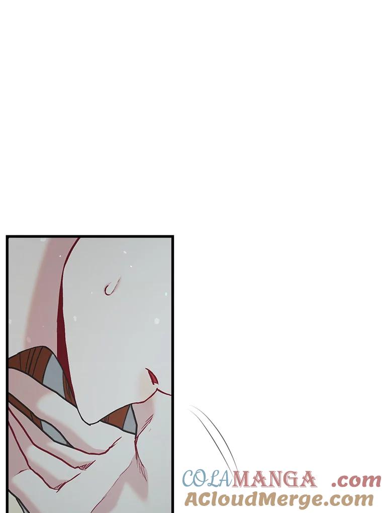 《第二个丈夫》62.空虚 第29页