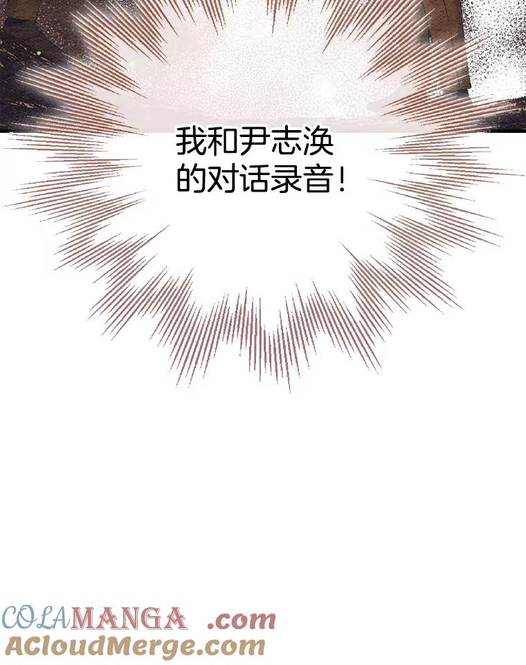 《第二个丈夫》63.新的证据 第29页