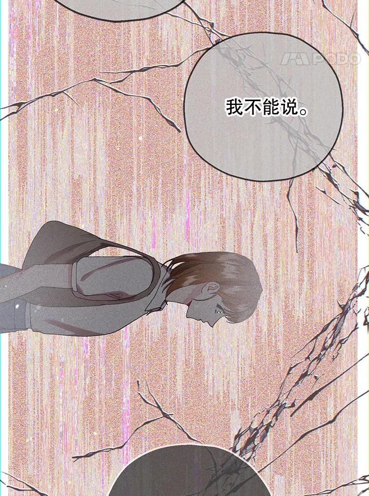 《第二个丈夫》63.新的证据 第115页