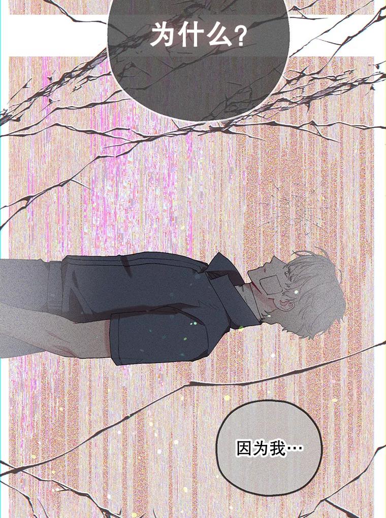 《第二个丈夫》63.新的证据 第116页