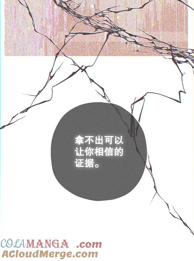 《第二个丈夫》63.新的证据 第117页