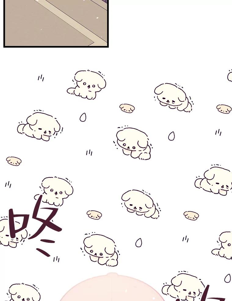 《第二个丈夫》63.新的证据 第4页
