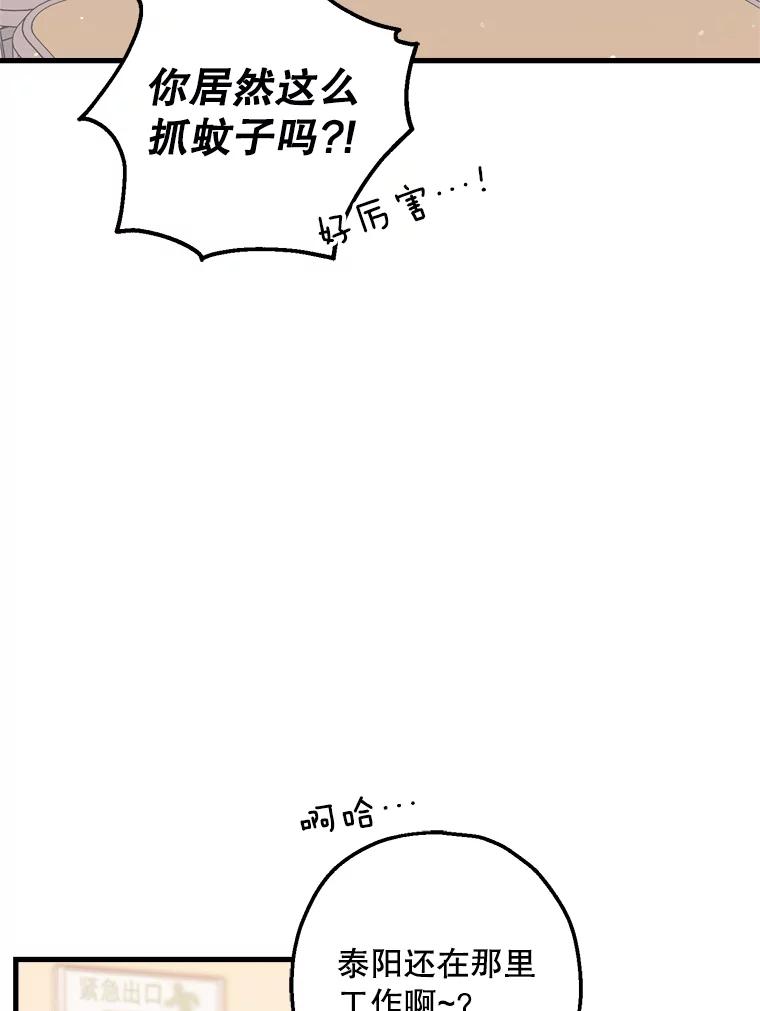 《第二个丈夫》64.芦浦212 第56页