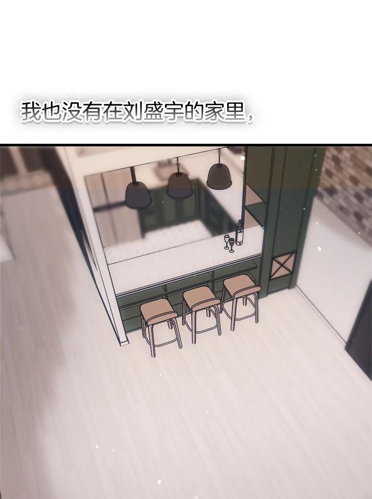 《第二个丈夫》64.芦浦212 第28页