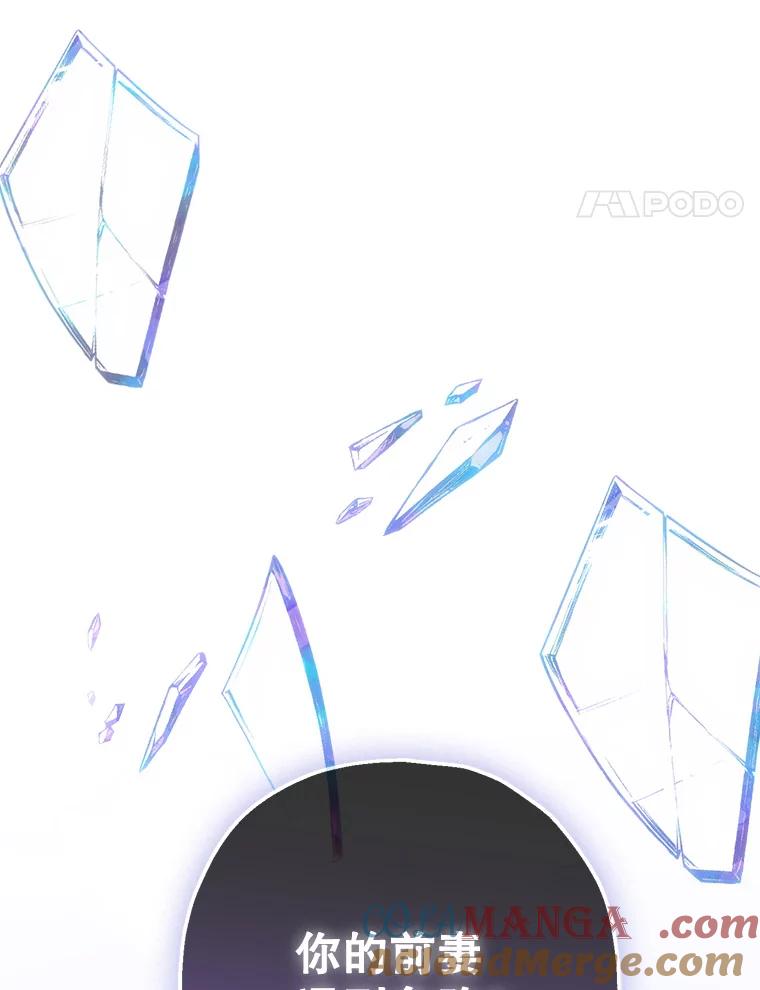 《第二个丈夫》65.摊牌 第5页
