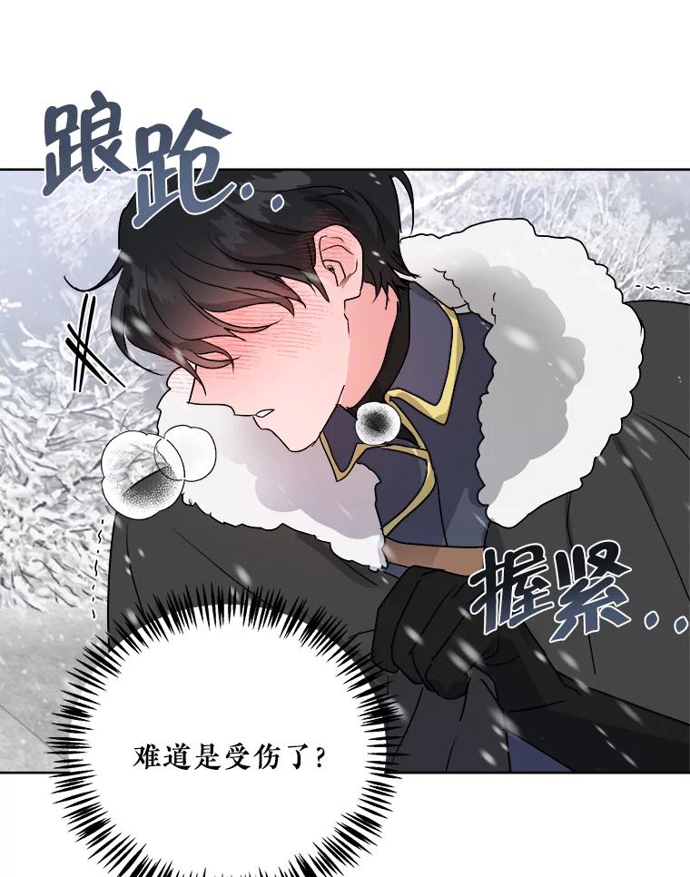 《怕冷的北部大公》1.穿越进小说 第106页