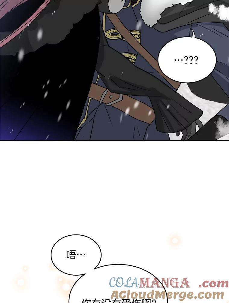 《怕冷的北部大公》1.穿越进小说 第121页