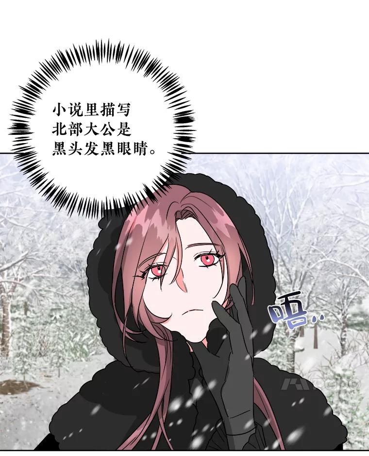 《怕冷的北部大公》1.穿越进小说 第96页