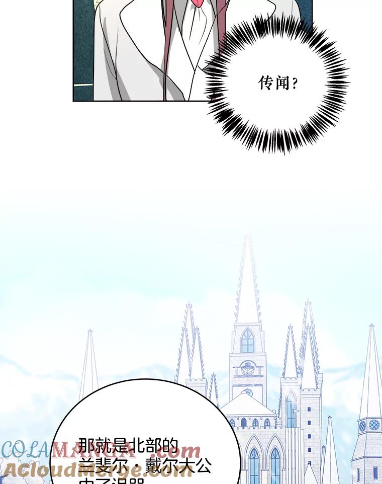 《怕冷的北部大公》1.穿越进小说 第81页