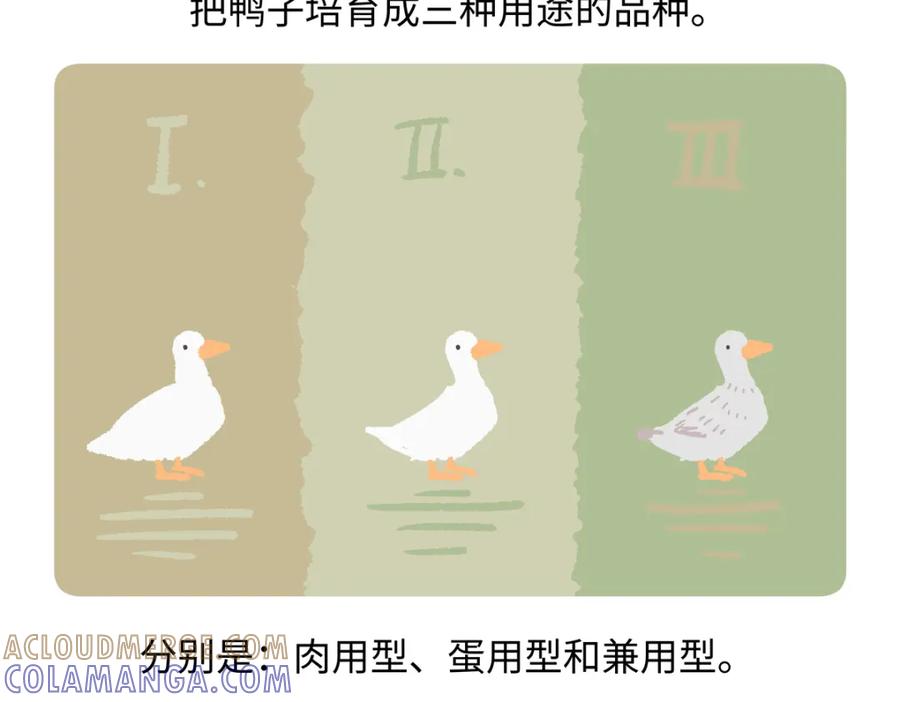 《胖达x胖达》第267话 第29页