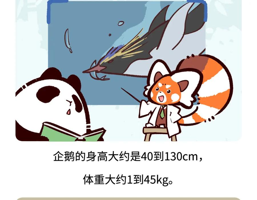 《胖达x胖达》第271话 第20页