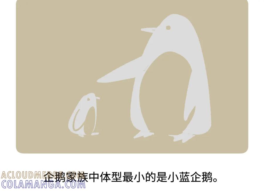 《胖达x胖达》第271话 第21页