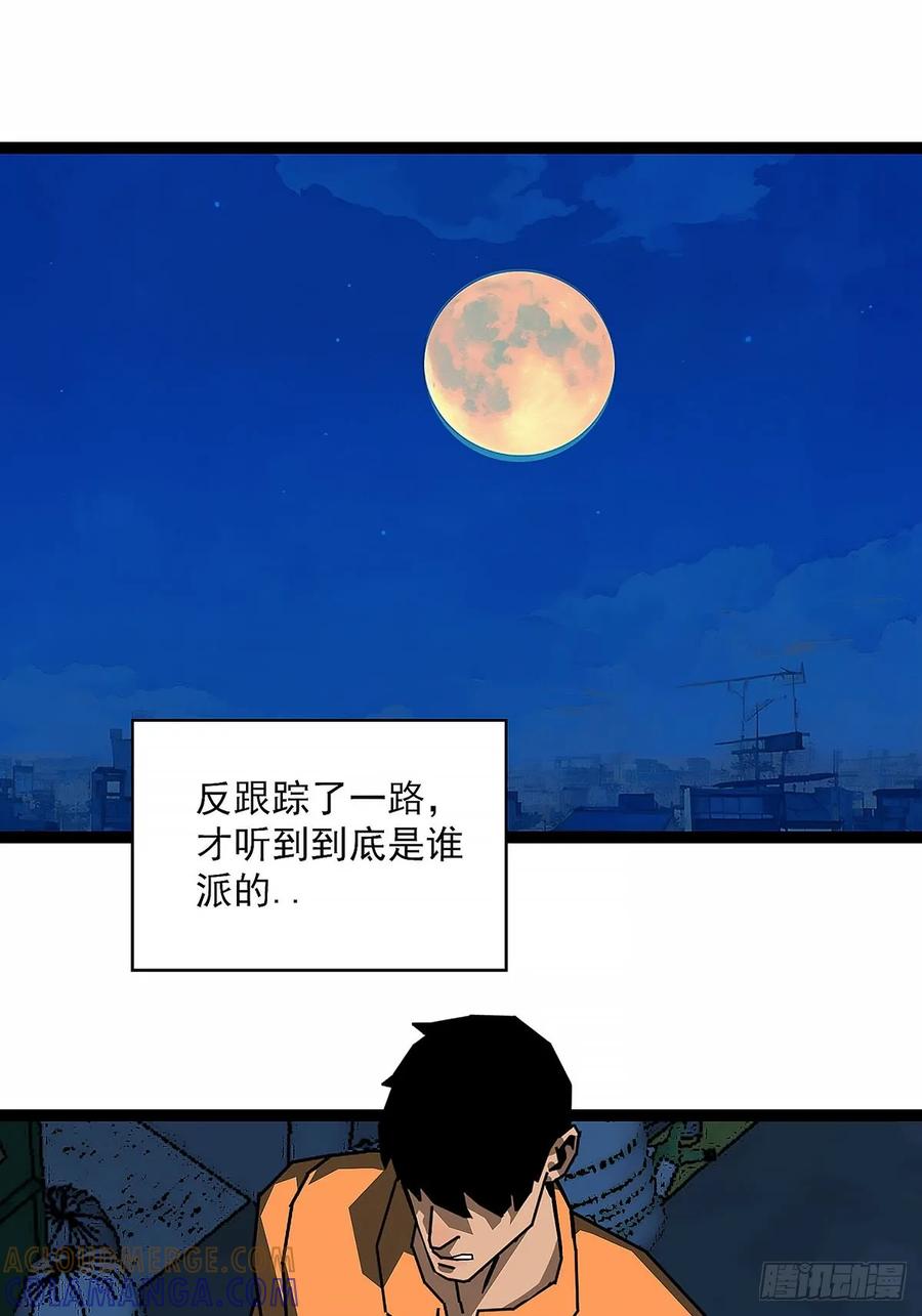 《王炸》收获满满 第35页
