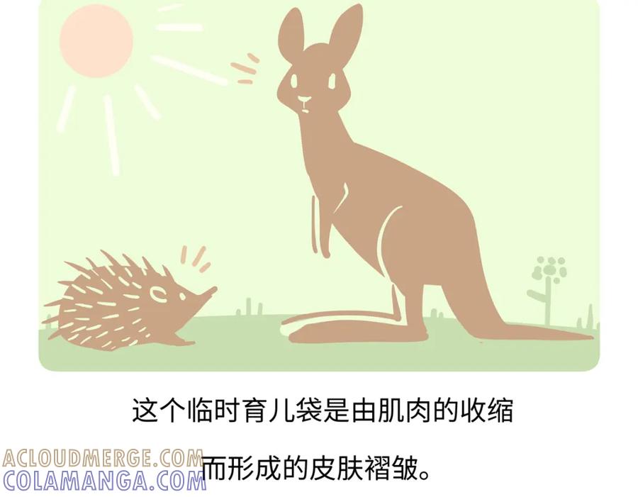 《胖达x胖达》第258话 第19页