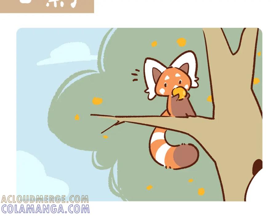 《胖达x胖达》第258话 第13页