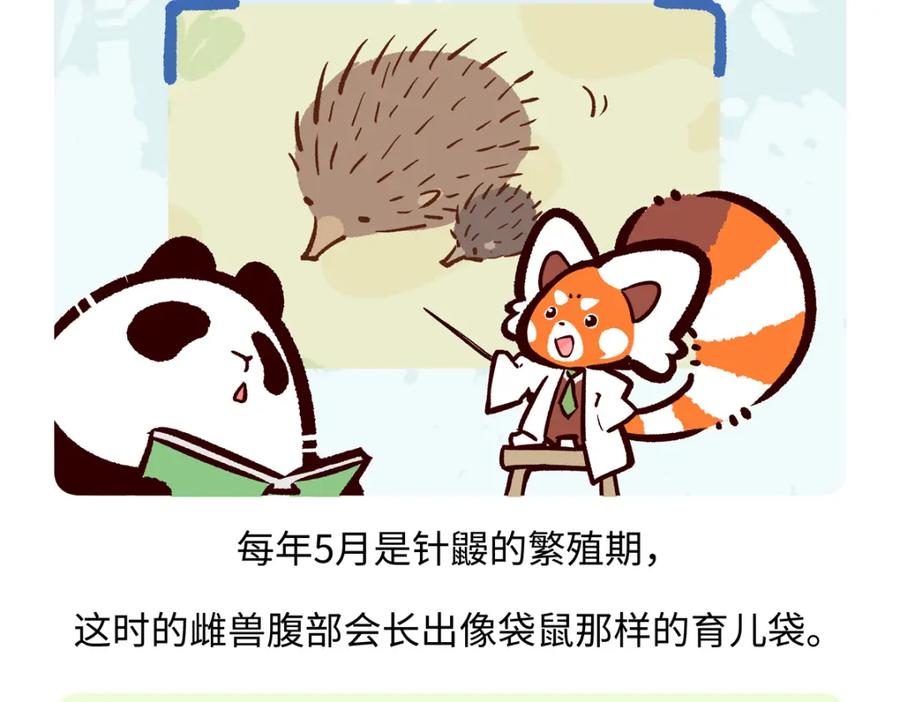 《胖达x胖达》第258话 第18页