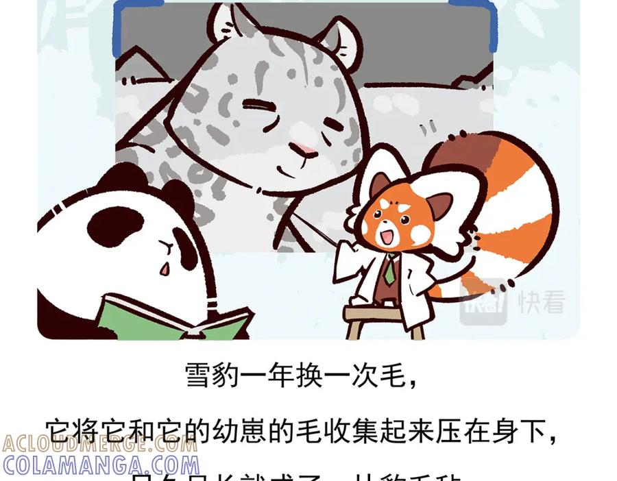 《胖达x胖达》第95话 第27页