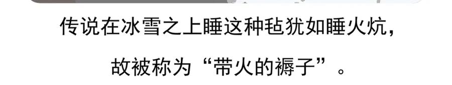《胖达x胖达》第95话 第30页