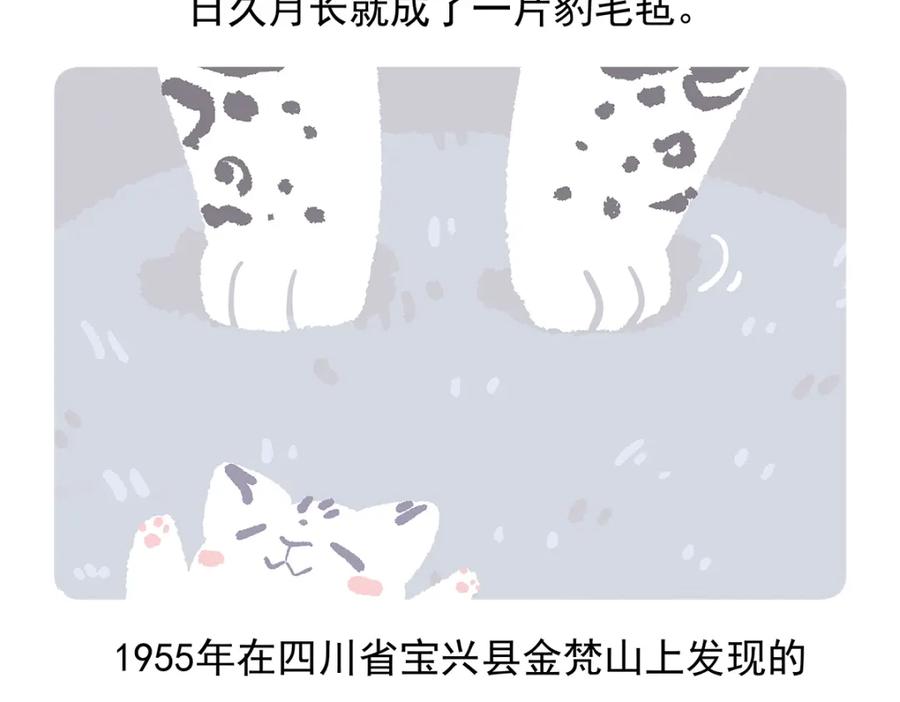 《胖达x胖达》第95话 第28页