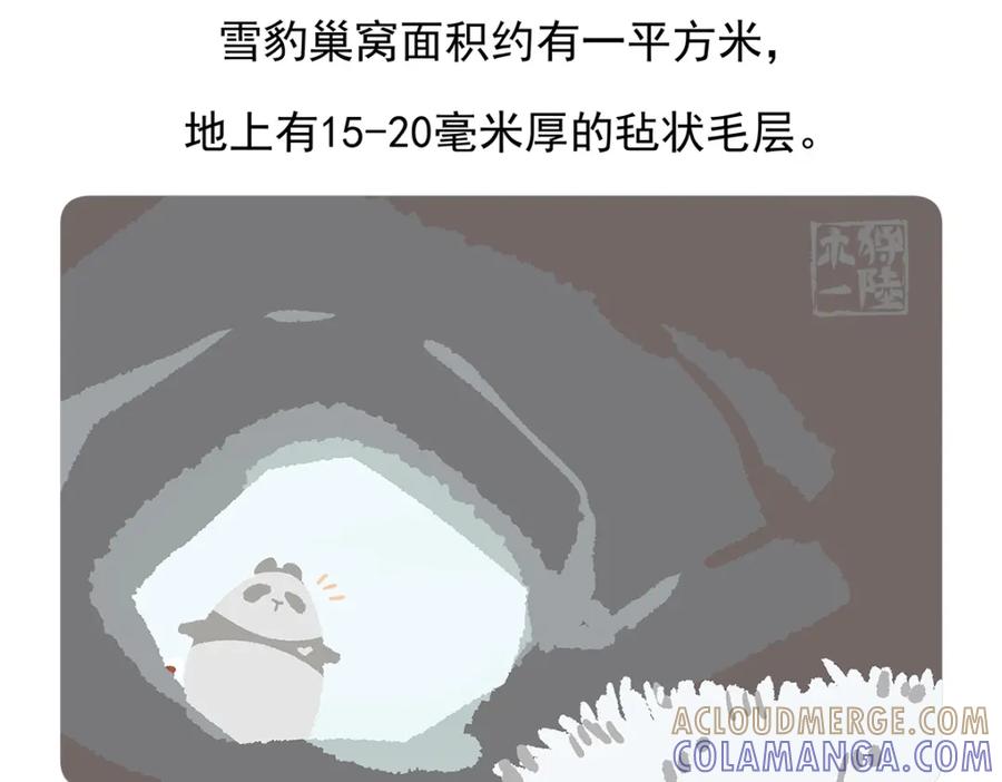 《胖达x胖达》第95话 第29页